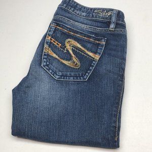 VINTAGE SILVER ELYSSA DENIM CAPRIS 32x22 🐎